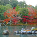 秋遊嵐山天龍寺