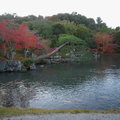 秋遊嵐山天龍寺