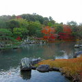 秋遊嵐山天龍寺