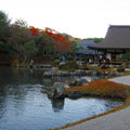 秋遊嵐山天龍寺