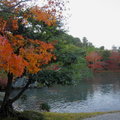 秋遊嵐山天龍寺