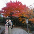 秋遊嵐山天龍寺