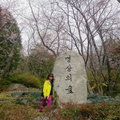 長福山公園(櫻花隧道)