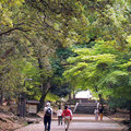 奈良東大寺11