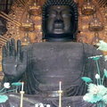大佛殿中巨型銅製佛像盧舍那佛坐像，高15公尺，為日本國內最高室內銅鑄大佛，當時興建實是先鑄佛像再建寺的！