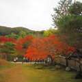 秋遊京都高台寺