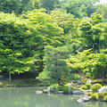 京都天龍寺19