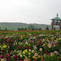 花樂園Flower Land 