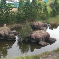 天人湖的綠觿龜