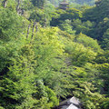 京都清水寺7