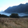 紐西蘭菲歐蘭國家公園~山嵐縈繞 