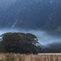 紐西蘭菲歐蘭國家公園~神氣銀帶縈繞地面1