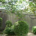 大阪城~一整塊大巨石的城牆2