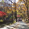 雞籠山