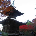 秋遊嵐山常寂光寺