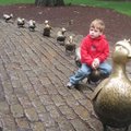 讓路給小鴨子~波士頓大眾花園(Public Garden)的溫馨情懷
