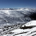 那拉提草原戲雪