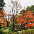 大濠公園日本庭園