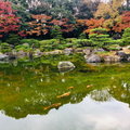 大濠公園日本庭園