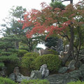 名古屋城二之丸庭園2
