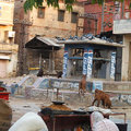 印度捷布(Jaipur)街頭巷尾8