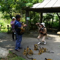 DAY 2．石垣民俗村松鼠猴園