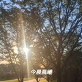 吃喝玩樂(2024)