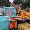 #coxfarm