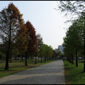南興公園