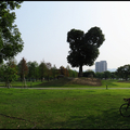 南興公園
