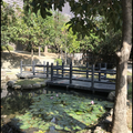 梅川生態親水公園
