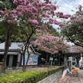 原花園町綠園