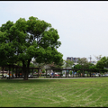 20220416南興公園
