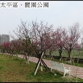 台中市太平區的麗園公園