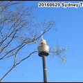 Sydney Tower