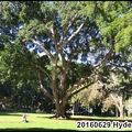 Hyde Park