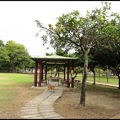 廍興公園20211218