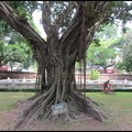 Temple of Literature