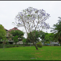 臺中北屯區軍福十八路。景美公園