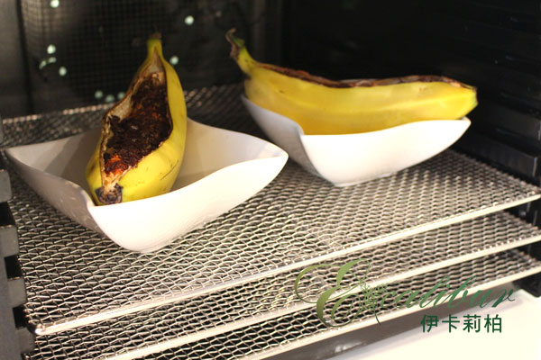 調理好的香蕉船放入Excalibur低溫乾果機