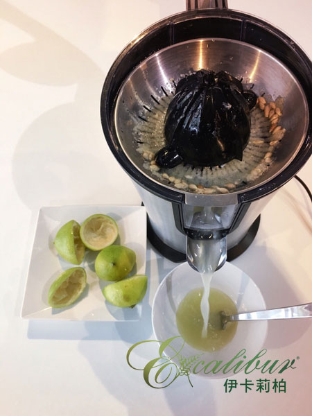 PRINCESS荷蘭公主榨汁機