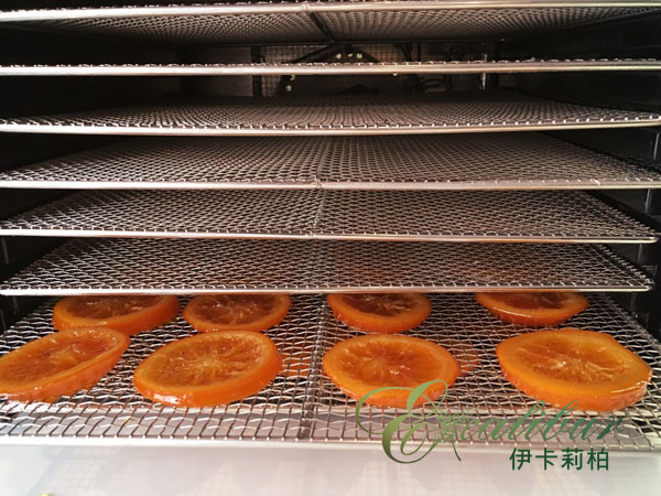 用Excalibur 伊卡莉柏乾果機風乾