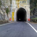 碧綠隧道