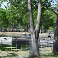 Dead Horse Ranch