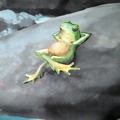 導覽室-壁上蛙(一月烏來01)