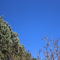 從前院望向藍天