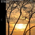 夕陽伴樹影-秋水緣影雕