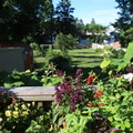 我的菜園2013年夏