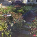 鄰居的花園 2013