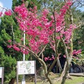 陽明山國家公園